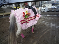 2012_2月027.jpg