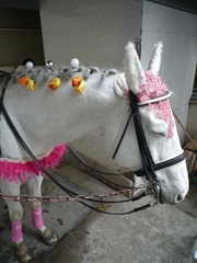 2012_2月033.jpg